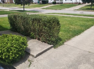 Bush Trimming by Tyler Stewart for Debra Y. in Maple Heights, OH
