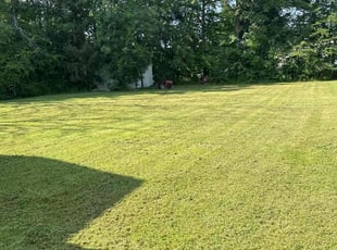 ASHOK K.'s Lawn Mowing service result