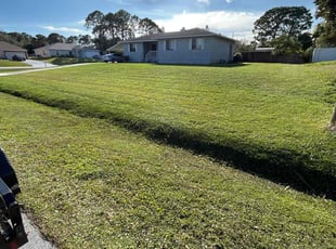 Ally N.'s Lawn Mowing Service service result