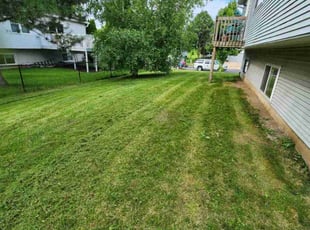 Daniel F.'s Lawn Service service result