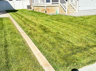 Tara C.'s Lawn Mowing Service service result