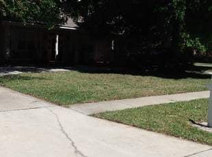 Leaf Removal by Louis Reele for Bre A. in Lithia, FL