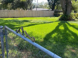 Deborah L.'s Lawn Care service result