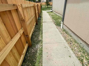 Weeding by Angel DePeralta for Andrew F. in Littleton, CO