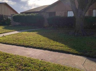 Leaf Removal by Shane Sullivan for Eva C. in Carrollton, TX