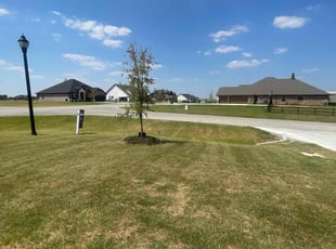 Glorianna C.'s Grass Cutting service result