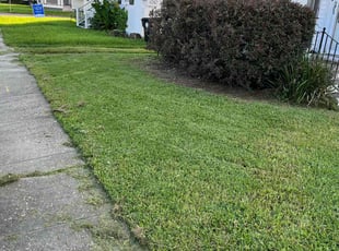 Landscaping by Devonta Wooten for Ross C. in New Orleans, LA