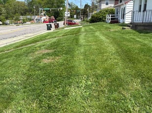 Melissa L.'s Lawn Mowing service result