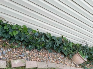 Weeding by Eliezer Paez for Cindy H. in North Salt Lake, UT
