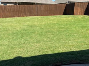 Kim T.'s Lawn Mowing Service service result