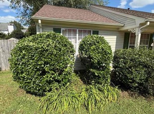 Bush Trimming by Derek Walker for Kimberly H. in Virginia Beach, VA
