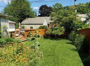 Victoria A.'s Lawn Mowing service result