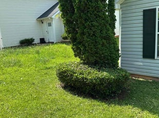 Bush Trimming by Melvin Mapp for Blessings W. in Decatur, GA