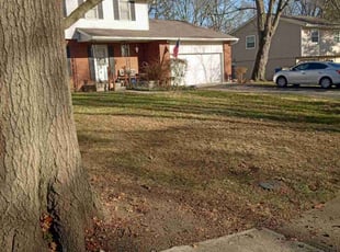 Leaf Removal by Elisha Nelson for Judy H. in Delaware, OH