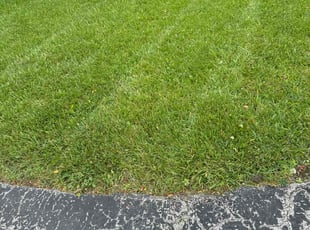 William C.'s Lawn Care service result