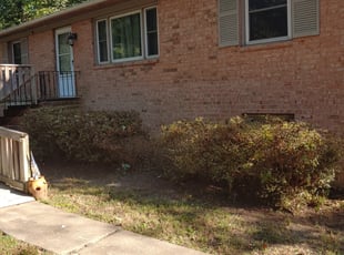 Bush Trimming by Chris Thomas for Marvin M. in Chesterfield, VA