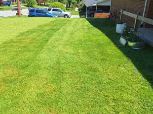 Josh R.'s Lawn Mowing service result