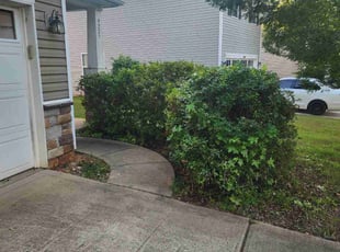 Bush Trimming by Denise James for Shaneice E. in Charlotte, NC