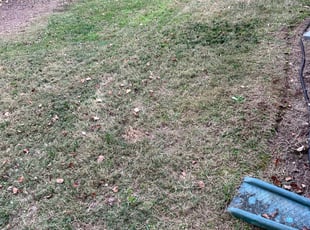 Cleanups by Marco Antenor for Nicole Y. in Charlotte, NC