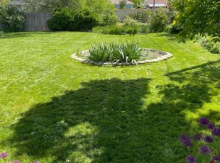 Tom Z.'s Lawn Mowing Service service result