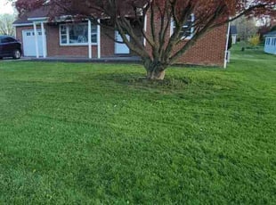 Kimberly M.'s Lawn Mowing Service service result