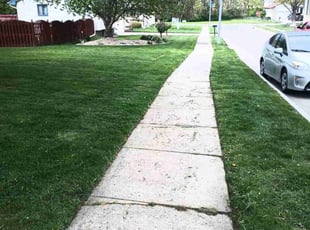 Lacey G.'s Lawn Maintenance service result
