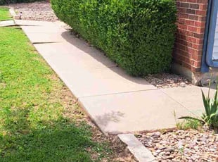 Bush Trimming by William Beacham for Pat D. in Wichita, KS