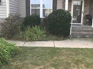 Bush Trimming by Davon Lightfoot for Alita H. in Richmond, VA