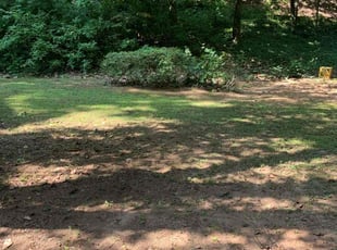 Joshua J.'s Bush Trimming service result