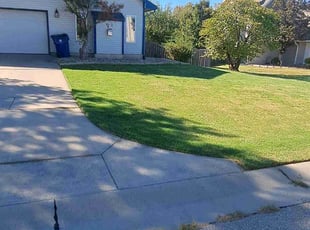 Chineta H.'s Lawn Mowing service result