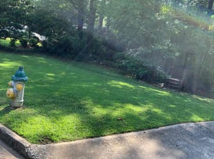 Scott S.'s Yard Cutting service result