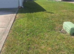Donald F.'s Yard Cutting service result