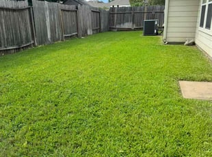 Dick F.'s Yard Cutting service result