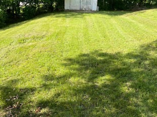 Cleanups by Matthew Garcia for Jacob B. in Sugar Creek, MO
