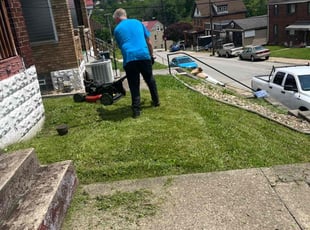 Bush Trimming by Vincent Daniele for Lewis B. in Pittsburgh, PA