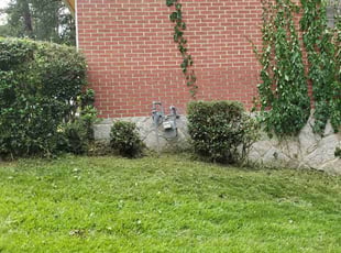 Bush Trimming by joshua shy for Eric M. in Atlanta, GA