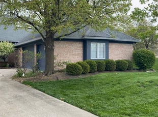Weeding by Jared Clapsaddle for Debra T. in Milford, OH