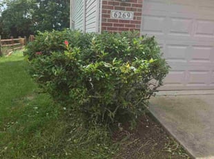 Cleanups by Eric Lee for Prasad R. in Mason, OH