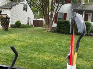 Tyler S.'s Lawn Mowing Service service result