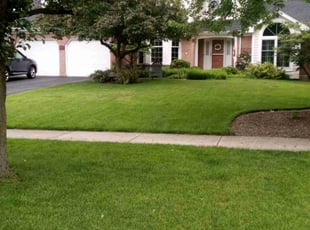 Dominique M.'s Lawn Mowing service result