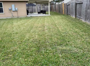 Sergio G.'s Lawn Mowing service result