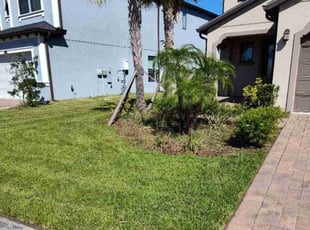 Doug R.'s Lawn Mowing service result