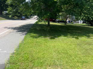 Robert F.'s Lawn Mowing Service service result