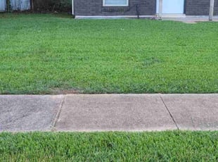 Juliana L.'s Lawn Mowing service result