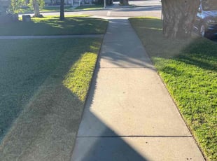 Linda F.'s Lawn Maintenance service result