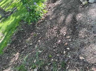 Cleanups by Adam Lazear for Megan M. in London, OH