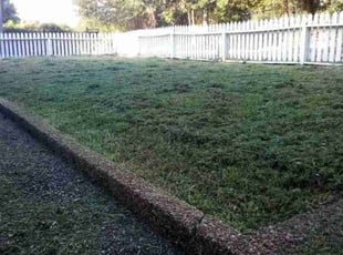 Sean S.'s Lawn Care service result