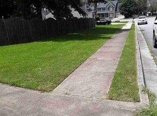 Francis T.'s Lawn Care service result