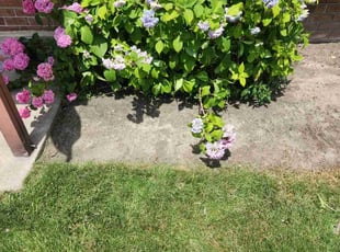 Weeding by Ameer Lowe for Jim B. in Clementon, NJ