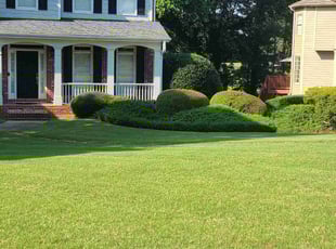 Bush Trimming by Denise Santana for James R. in Acworth, GA